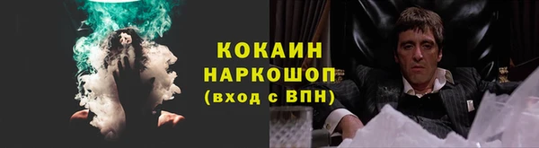дмт Арсеньев