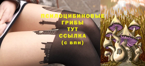 дмт Арсеньев